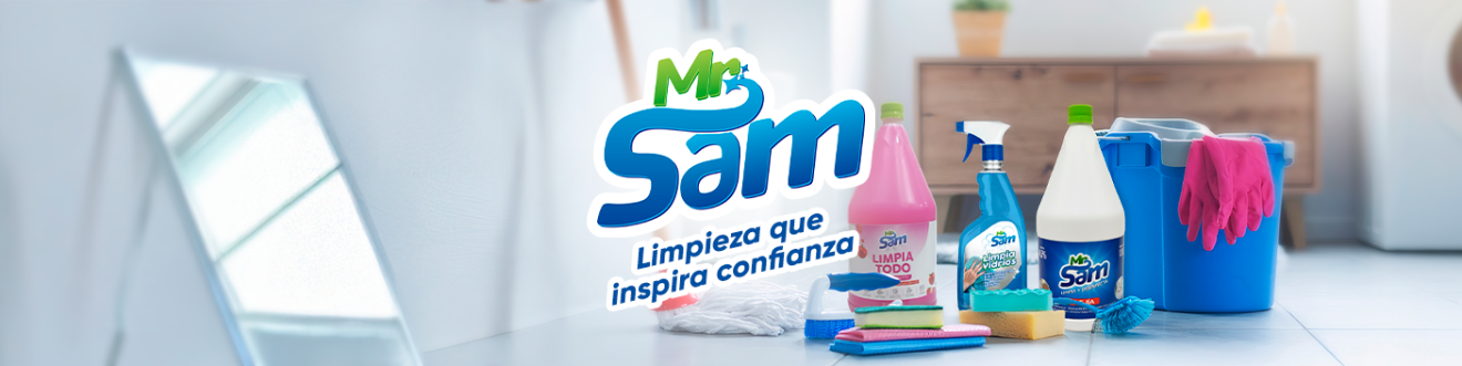 Mr. Sam