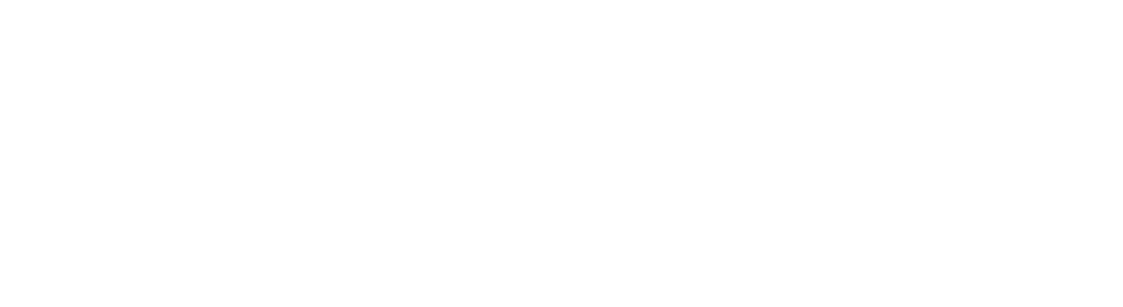 Andean Bridge